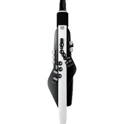 Roland Aerophone AE-20 Digital Wind Instrument