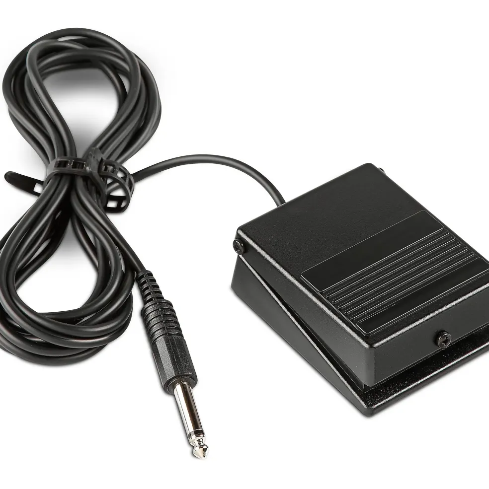 Roland DP-2 Damper Pedal