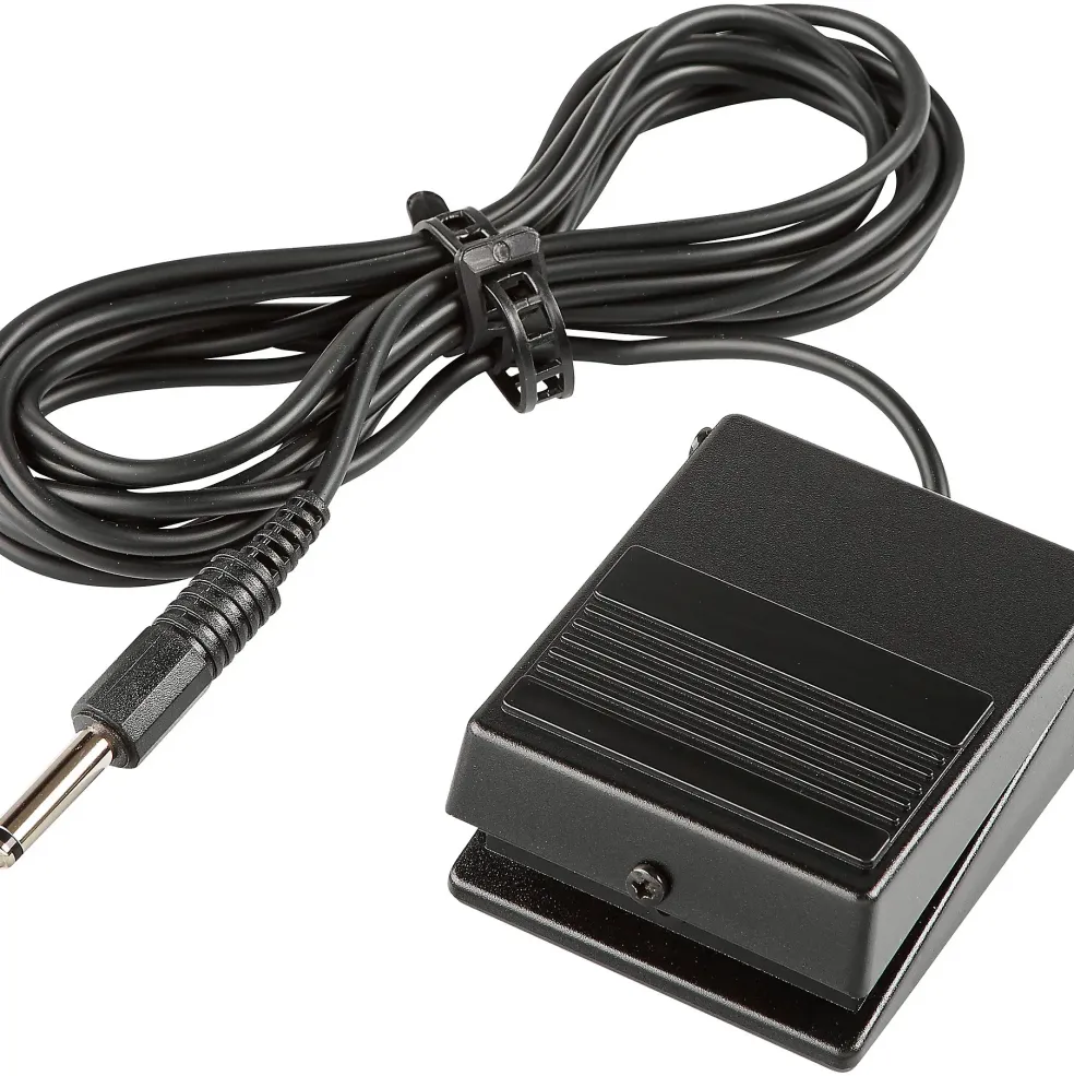 Roland DP-2 Damper Pedal