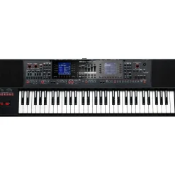 Roland E-A7 Arranger Keyboard Black