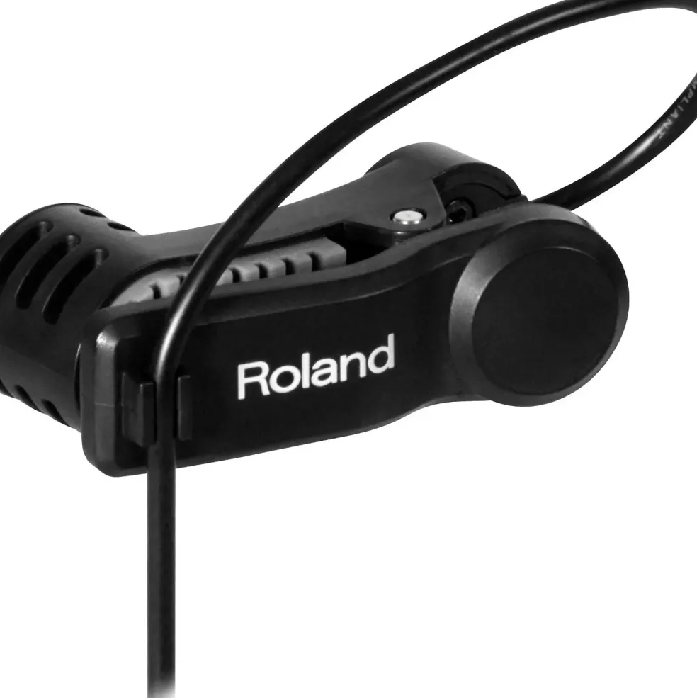 Roland ELCajon Mic Processor
