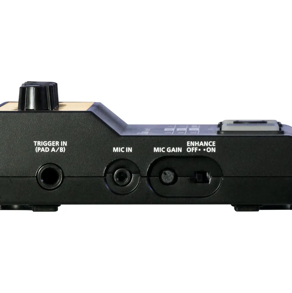 Roland ELCajon Mic Processor