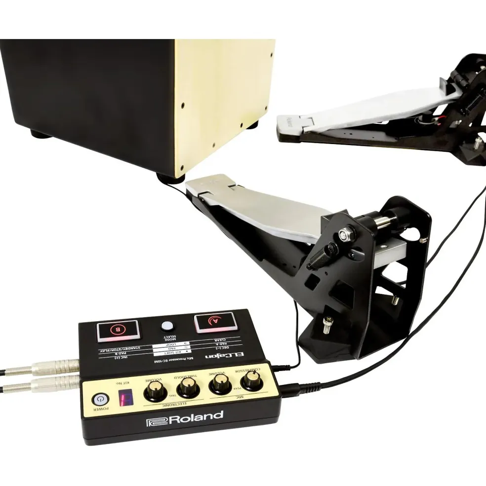Roland ELCajon Mic Processor