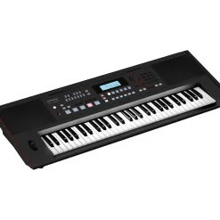 Roland E-X50 Arranger Keyboard Essentials Bundle Black