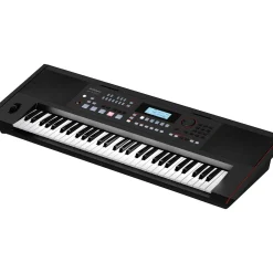 Roland E-X50 Arranger Keyboard Essentials Bundle Black