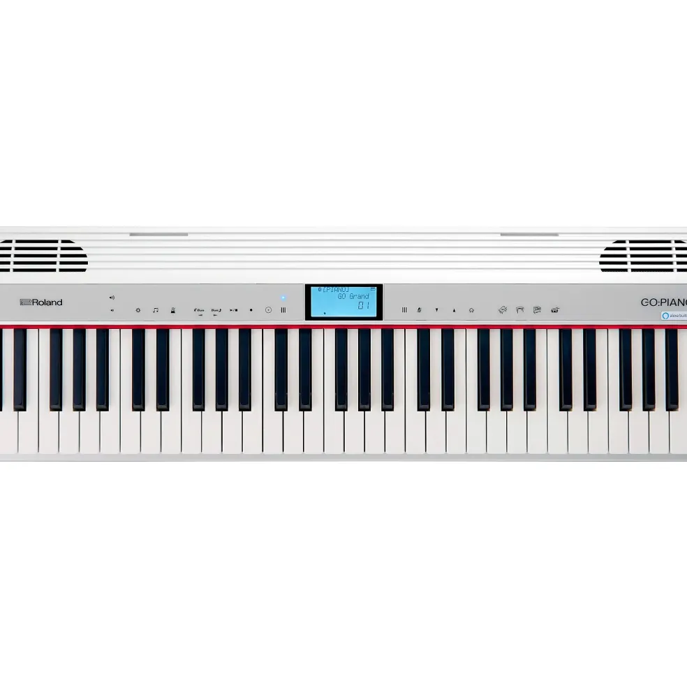 Roland GO:PIANO 61-Key Portable Keyboard With Alexa Built-in