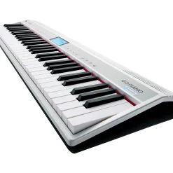 Roland GO:PIANO 61-Key Portable Keyboard With Alexa Built-in