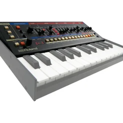 Roland JU-06A Boutique Synthesizer with Decksaver Cover