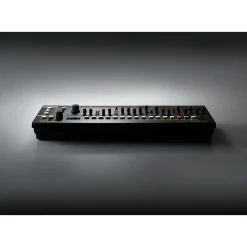 Roland JU-06A Boutique Synthesizer with Decksaver Cover