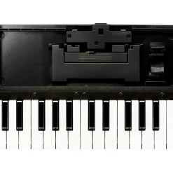 Roland K-25m Boutique Keyboard Unit