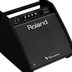 Roland PM-100 V-Drum Speaker System