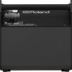 Roland PM-100 V-Drum Speaker System
