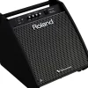 Roland PM-200 V-Drum Speaker System
