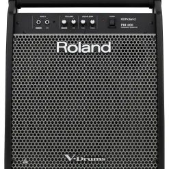 Roland PM-200 V-Drum Speaker System
