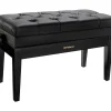 Roland RPB-D500-US Piano Bench, Duet Size, Vinyl Seat, Music Compartment Polished Ebony