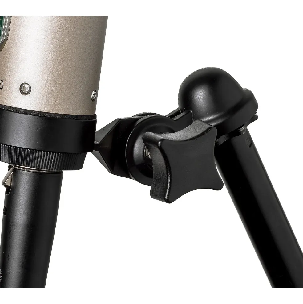 Royer R-10 Ribbon Microphone
