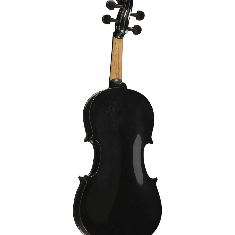 Rozanna's Violins Galaxy Ride Series Violin Outfit 4/4