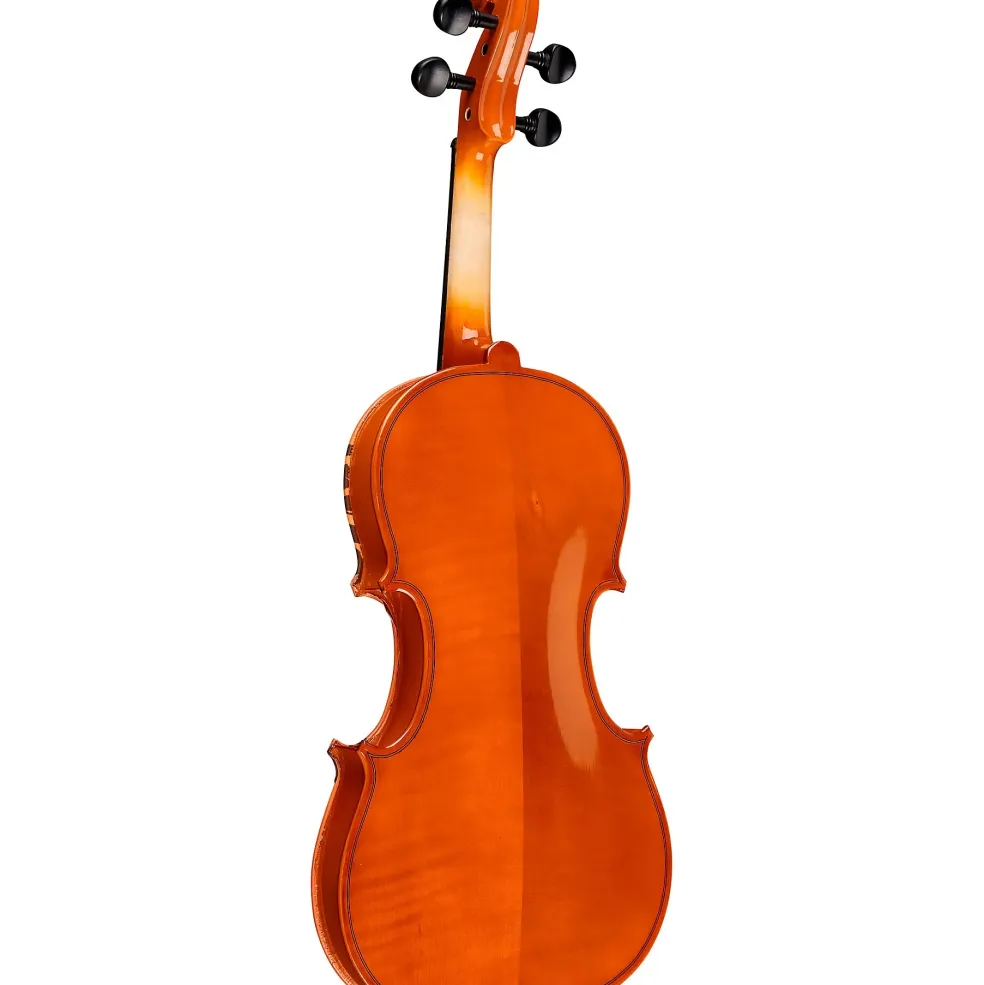 Rozanna's Violins Lion Spirit Violin Outfit 4/4