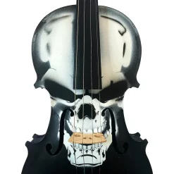 Rozanna's Violins Skull Series Carbon Composite Violin Outfit 4/4