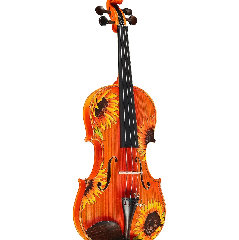 Rozanna's Violins Sunflower Delight Series Violin Outfit 4/4 Size