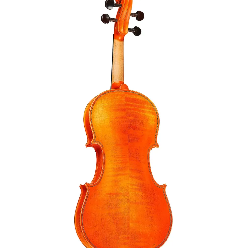 Rozanna's Violins Sunflower Delight Series Violin Outfit 4/4 Size