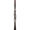 RZ Clarinets Conservatory Grenadilla Bb Clarinet, 17 keys Silver Keys Adjustable Thumb Rest