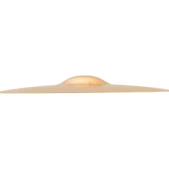 SABIAN AA Raw Bell Crash Cymbal 18 in. Brilliant