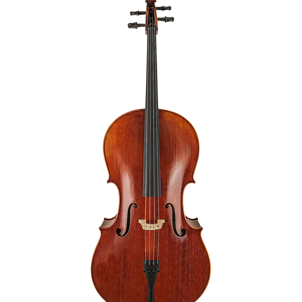 Scherl and Roth SR65 Sarabande Series Intermediate Cello Outfit 4/4