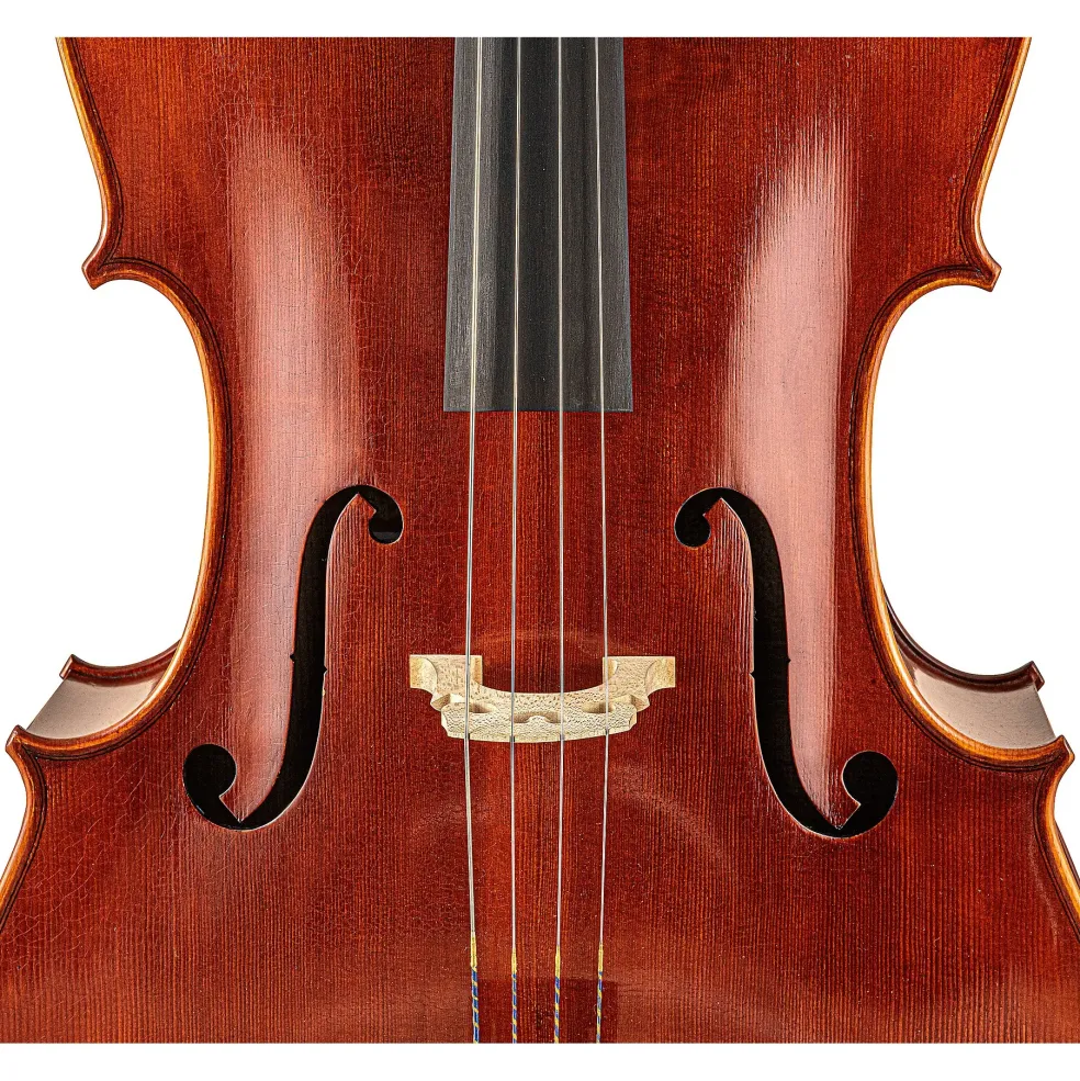 Scherl and Roth SR65 Sarabande Series Intermediate Cello Outfit 4/4
