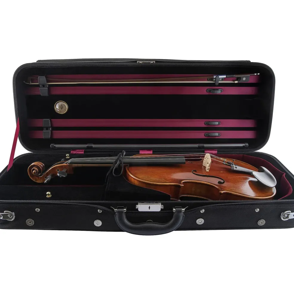 Scherl and Roth SR71 Series Professional Violin Outfit 4/4