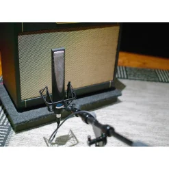 sE Electronics Rupert Neve Active Ribbon Microphone