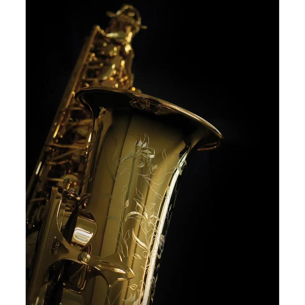 Selmer Paris Series III Model 62 Jubilee Edition Alto Saxophone 62JGP - Gold Plated