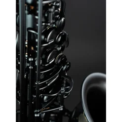 Selmer Paris Supreme Limited Edition Eb Alto Saxophone Matte Black Black Matte Keys