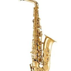Selmer SAS711 Professional Alto Saxophone Lacquer
