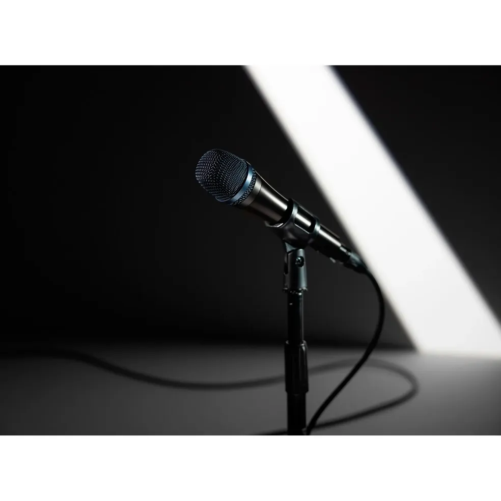 Sennheiser e 945 Supercardioid Dynamic Microphone