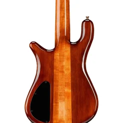 Spector NS5 Quilted Top/Fishman Electronics Tiger Eye