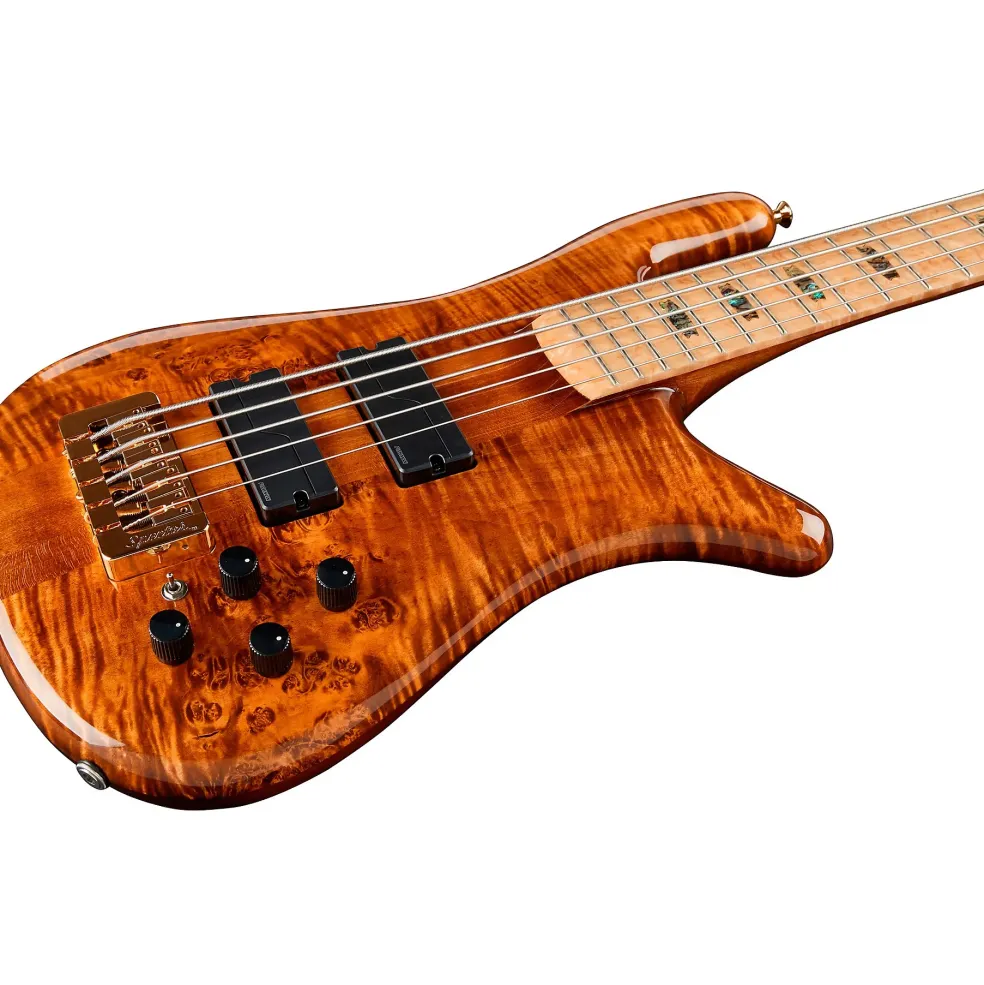 Spector NS5 Quilted Top/Fishman Electronics Tiger Eye