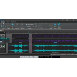 Steinberg WaveLab Cast 2 Software