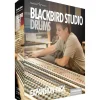 Steven Slate Audio Blackbird Studio Expansion for Trigger