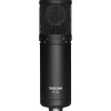 TASCAM TM-280 Large-Diaphragm Condenser Microphone