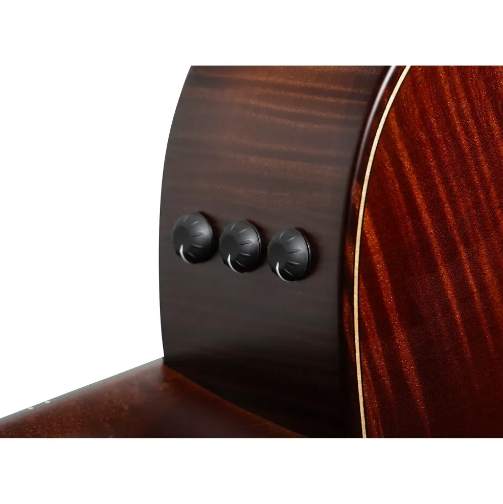 Taylor Builder's Edition 614ce V-Class Grand Auditorium Acoustic-Electric Guitar Wild Honey Burst