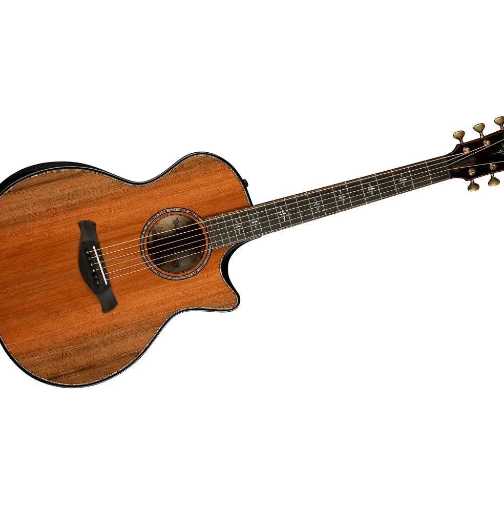 Taylor Builder's Edition 914ce Grand Auditorium Acoustic-Electric Guitar Kona Edgeburst