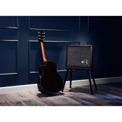 Taylor PS14c Brazilian Rosewood 50th Anniversary Limited-Edition Grand Auditorium Acoustic-Electric Guitar with matching Circa 74 Amp Honey Sunburst