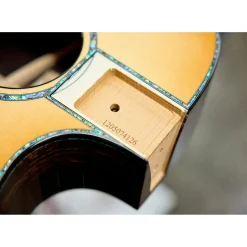 Taylor PS14c Brazilian Rosewood 50th Anniversary Limited-Edition Grand Auditorium Acoustic-Electric Guitar with matching Circa 74 Amp Honey Sunburst