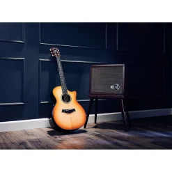 Taylor PS14c Brazilian Rosewood 50th Anniversary Limited-Edition Grand Auditorium Acoustic-Electric Guitar with matching Circa 74 Amp Honey Sunburst