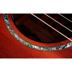 Taylor PS14ce LTD 50th Anniversary Redwood Top Grand Auditorium Acoustic-Electric Guitar Shaded Edge Burst