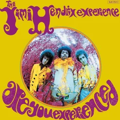The Jimi Hendrix Experience - Are You Experienced Vinyl LP