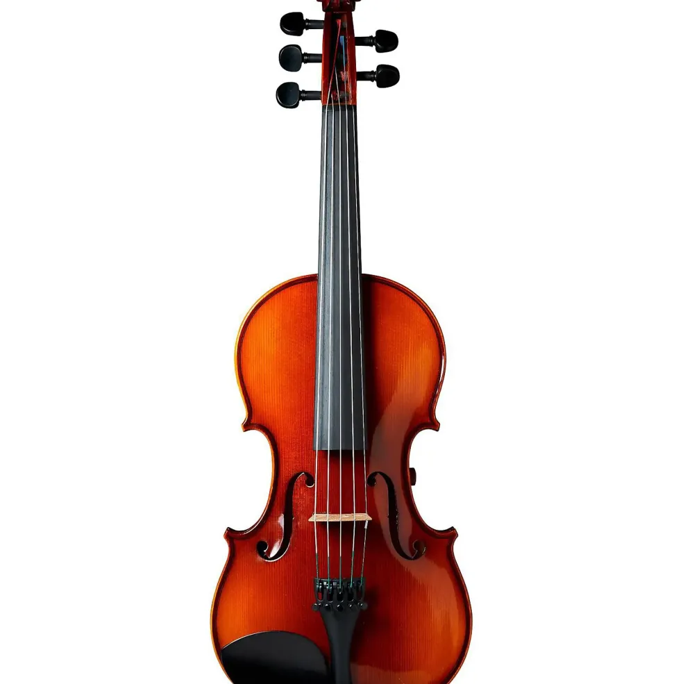 The Realist RV5e E-Series 5-String Violin