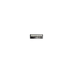 Used Alesis MELODY 61 Digital Piano