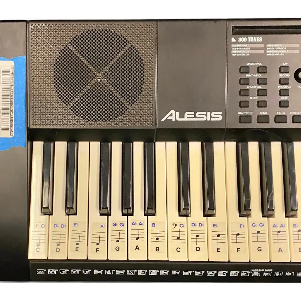 Used Alesis Melody 61 Portable Keyboard